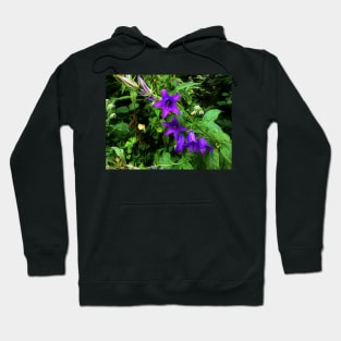 Colorful summer flowers Hoodie